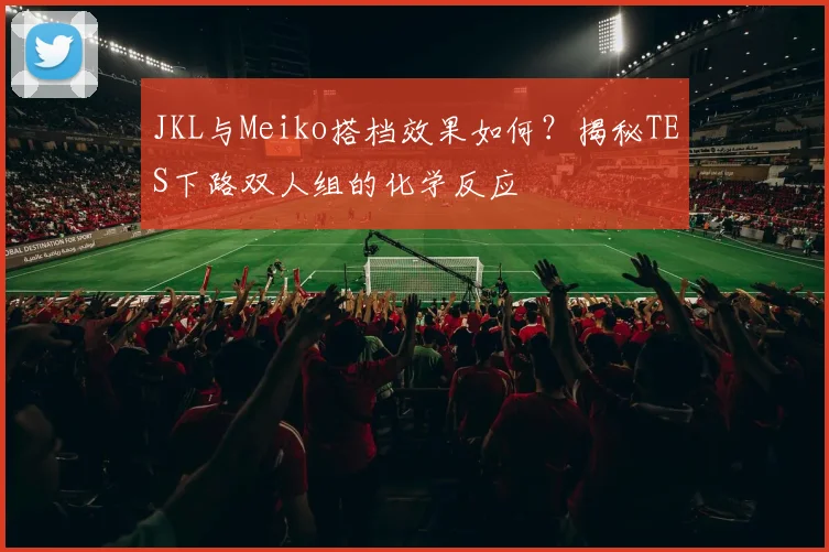 JKL与Meiko搭档效果如何?揭秘TES下路双人组的化学反应